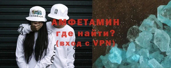 гидра Надым