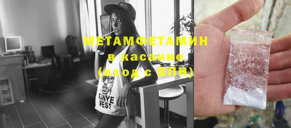 гидра Надым
