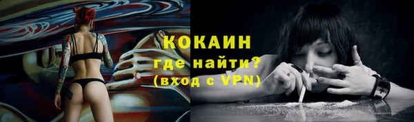 гидра Надым