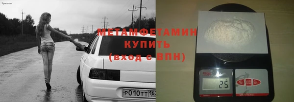 гидра Надым