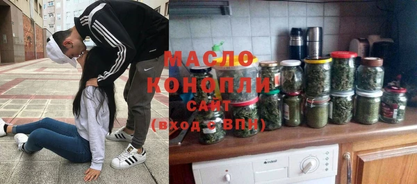 гидра Надым