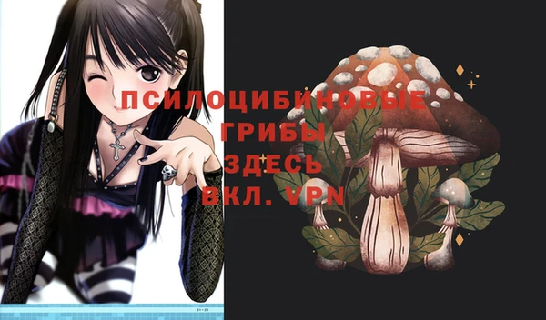 гидра Надым