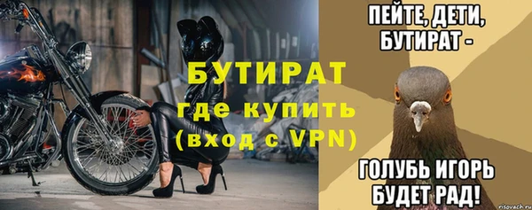гидра Надым