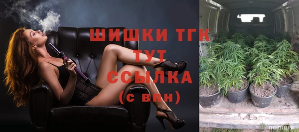 гидра Надым