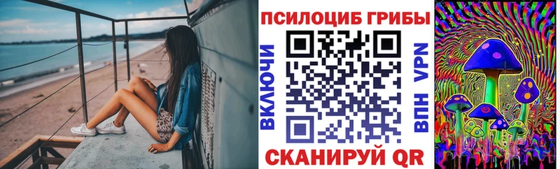 где найти наркотики  Тольятти  Псилоцибиновые грибы прущие грибы 