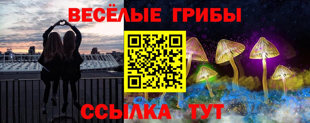 купить   Вход с VPN  Тольятти  Галлюциногенные грибы мицелий  Псилоцибиновые грибы мицелий 