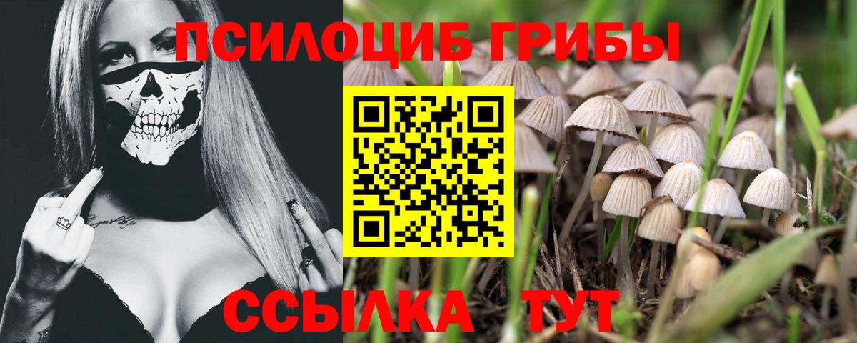 Галлюциногенные грибы GOLDEN TEACHER Тольятти