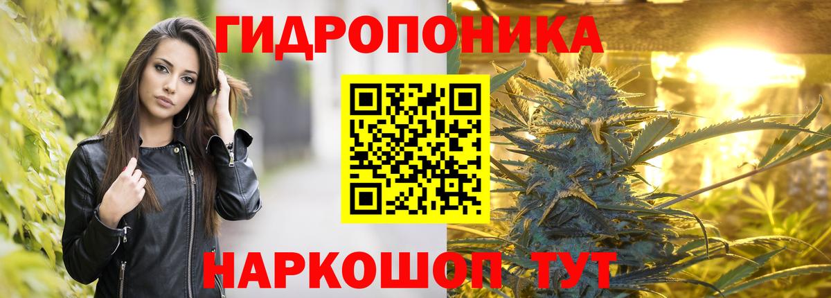 Канабис OG Kush  Вход с VPN  МАРИХУАНА конопля  Тольятти 